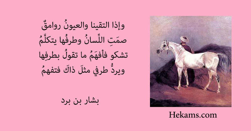 أقوال بشار بن برد