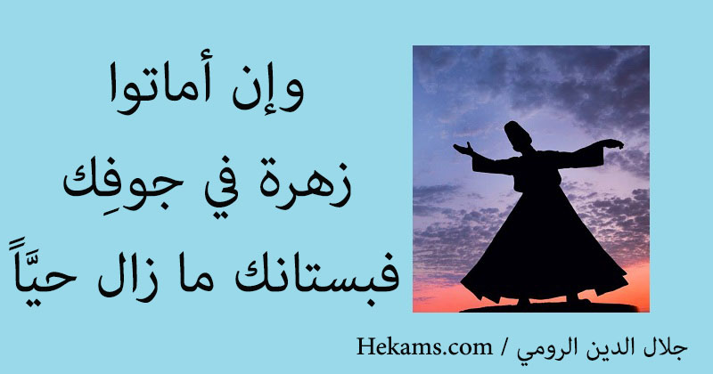 أقوال جلال الدين الرومي