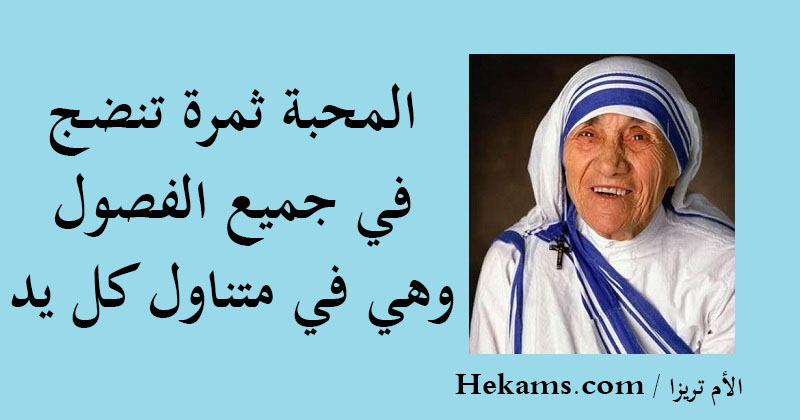 حكم عن الحب حكم