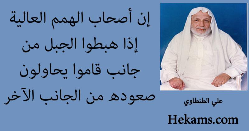 إن أصحاب الهمم العالية إذا هبطوا الجبل من جانب قاموا يحاولون صعوده من الجانب الآخر علي الطنطاوي حكم