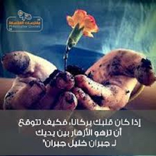 اقوال جبران خليل جبران عن الثقة إذا كان قلبك بركانا، فكيف تتوقع أن تزهو الأزهار بين يديك؟ - جبران خليل